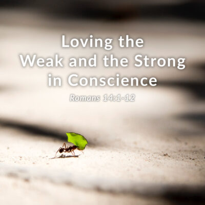 loving the weak and strong in conscience thumbnail art